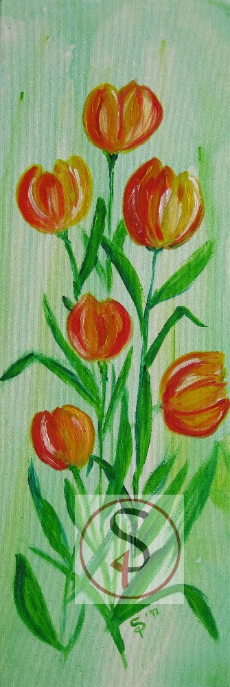 Tulpen 